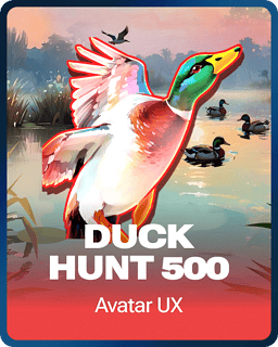 Duck Hunt 500