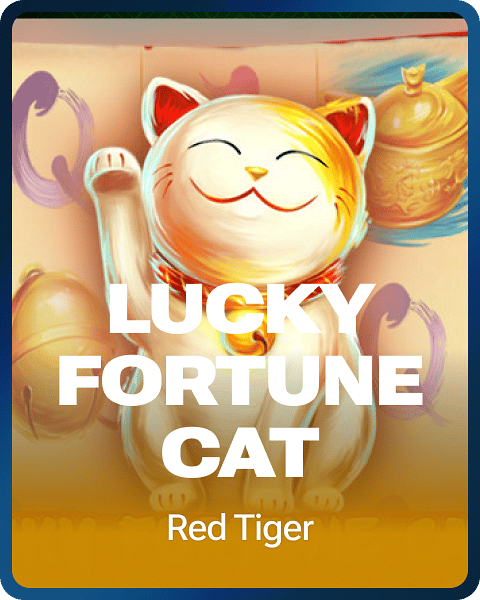 Lucky Fortune Cat