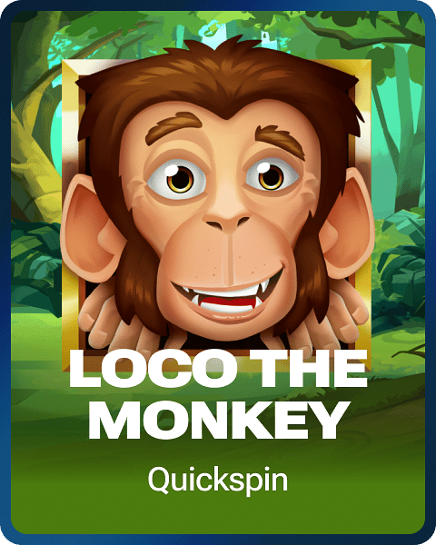 Loco the Monkey