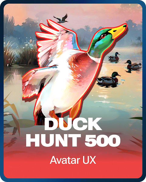 Duck Hunt 500