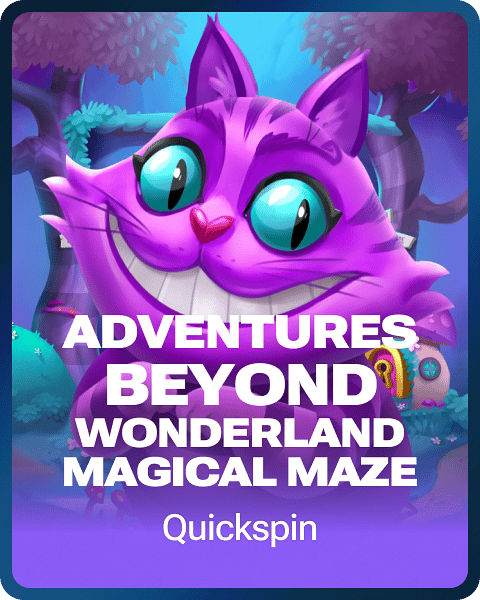 Adventures Beyond Wonderland Magical Maze